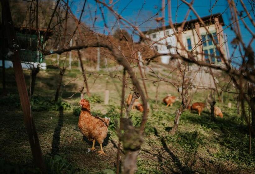 酒店 Polisena L Altro Agriturismo Veg