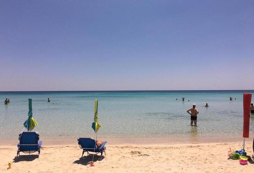 펜션 Affittacamere Torre Lapillo