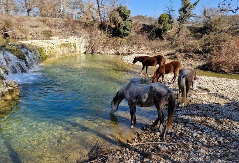 בית מלון כפרי Ferme Equestre Les Coccinelles