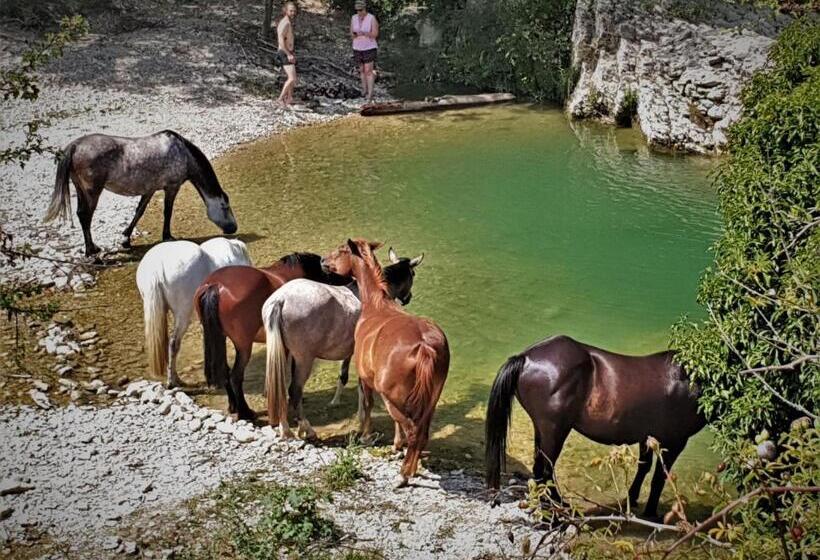בית מלון כפרי Ferme Equestre Les Coccinelles
