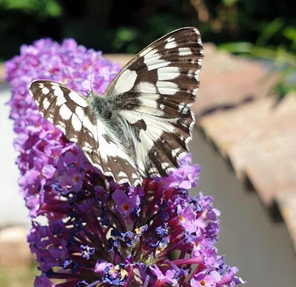 بنسيون La Ruette Aux Loups