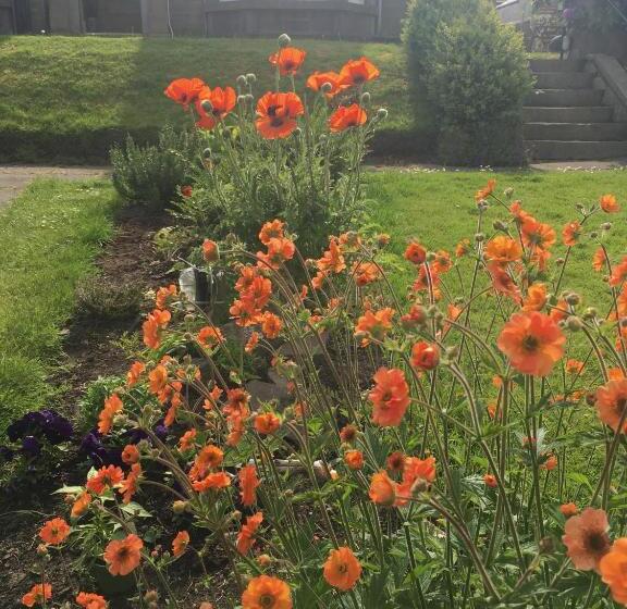 Dupplin152 Bed And Breakfast