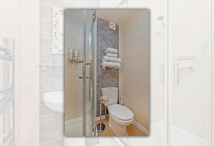 بنسيون White Rose Guest House