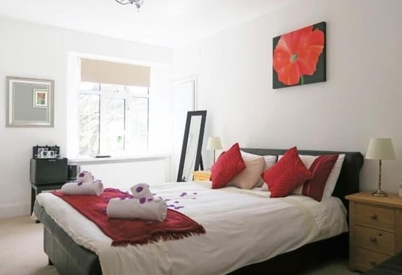 펜션 Exmoor Manor Guest House