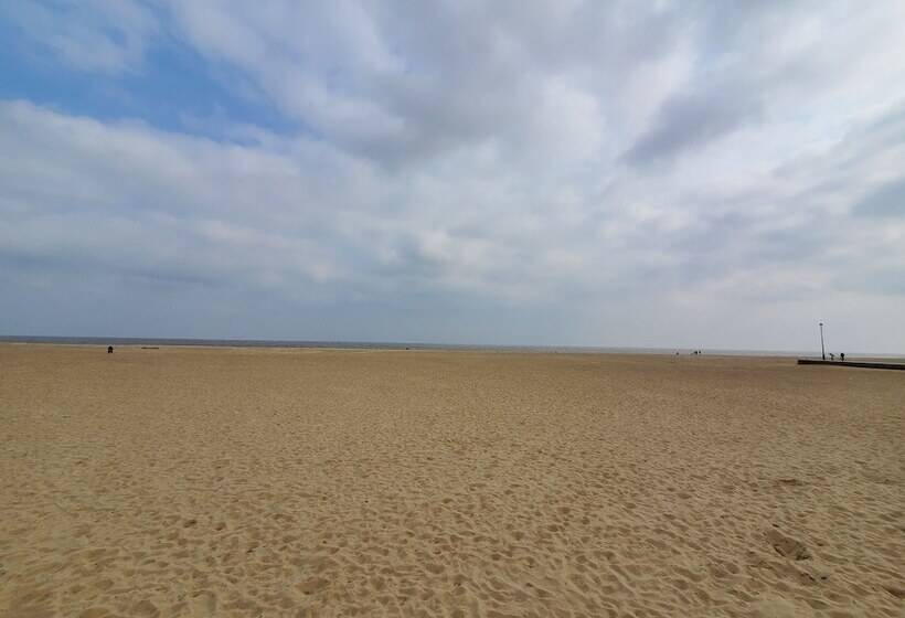 بنسيون The Collingwood