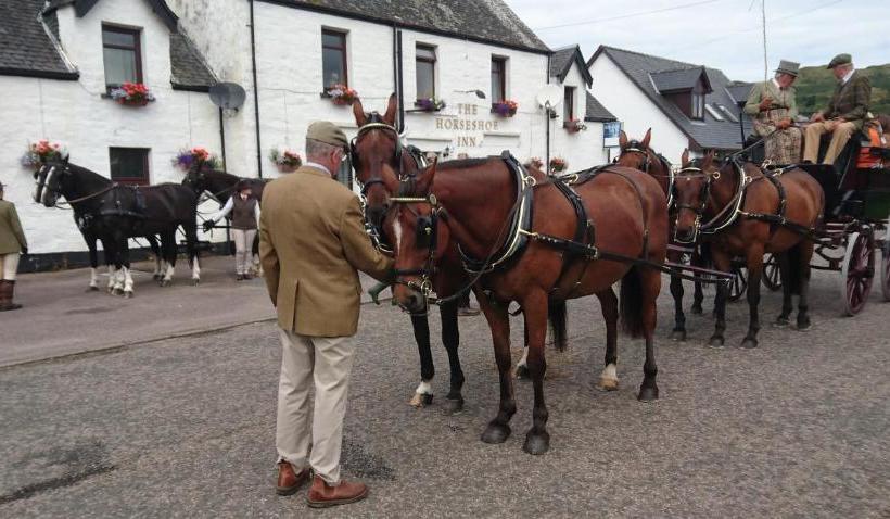 هاستل The Horseshoe Inn