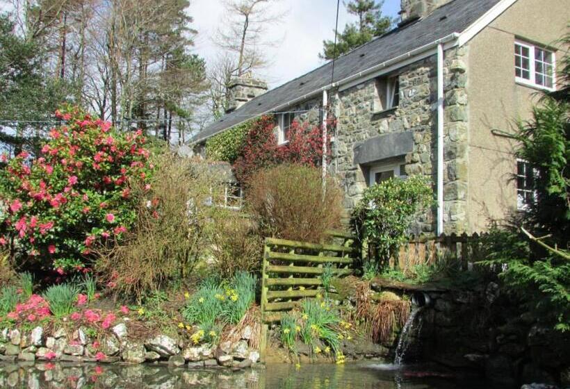 فندق Bryn Sion Farm