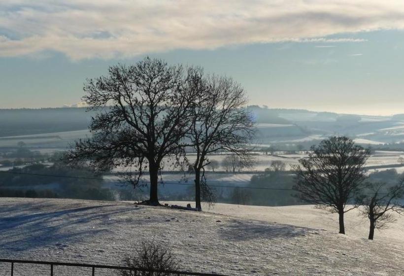 펜션 Shallowdale House