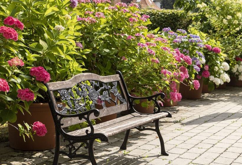 فندق صغير Gastehaus Musmann