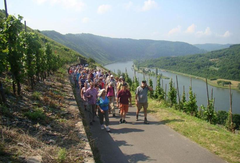 ペンション Weingut Stiftshof