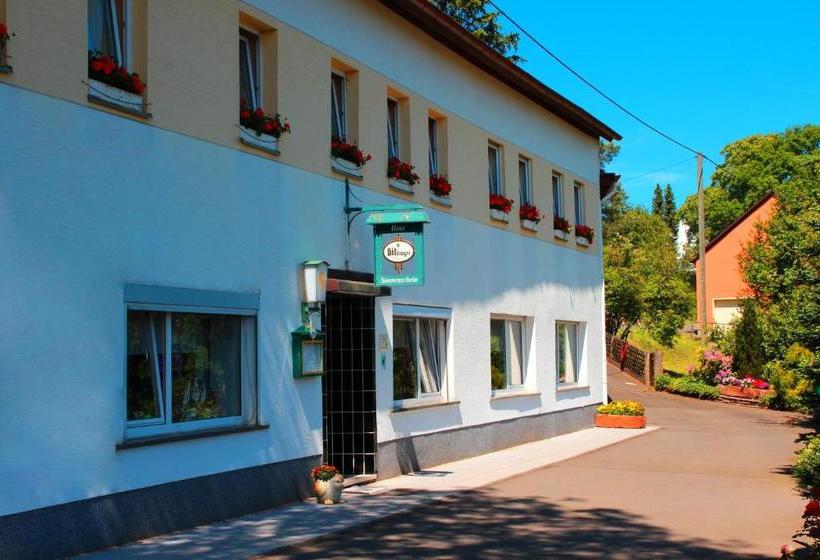 ユースホステル Haus Sonnenschein