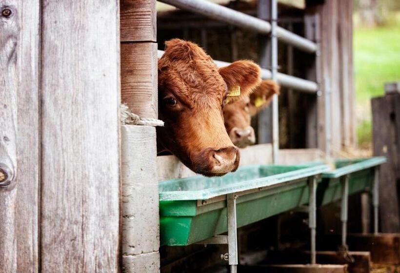 Пансион Gasthaus Post