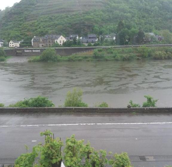 פנסיון Bachmeier S Gasthaus Traube Niederfell