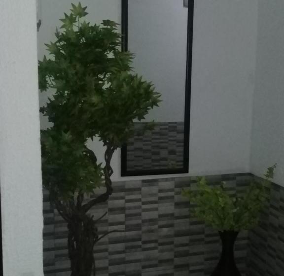 بنسيون 3a S Guest House