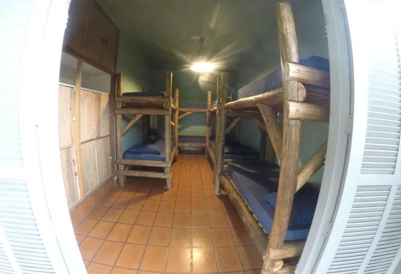 ペンション Down The River Hostel