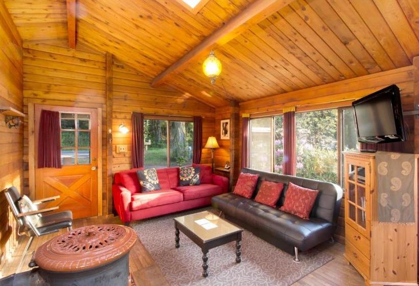 بنسيون Juniper Lane Guest House