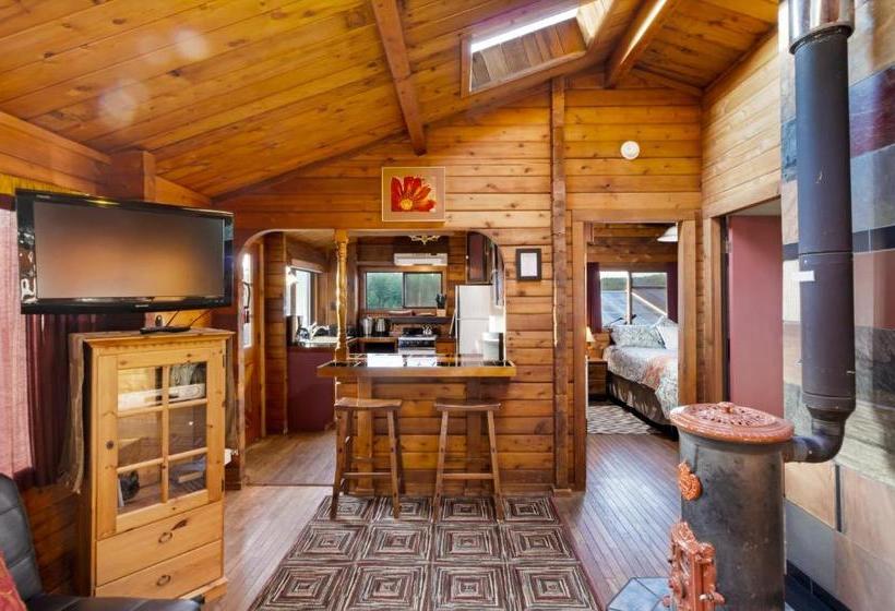 بنسيون Juniper Lane Guest House