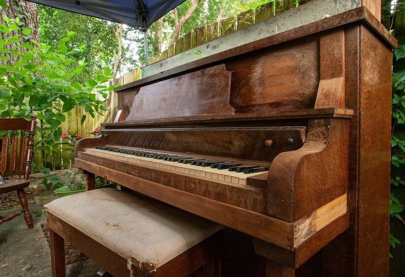 Tallahassee Sun & Moon   Hostel