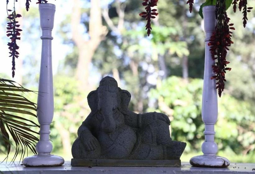 膳宿费 Coorg Kolamotte