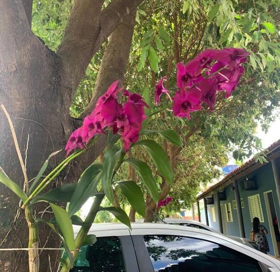 بنسيون Pousada Lagoa Azul