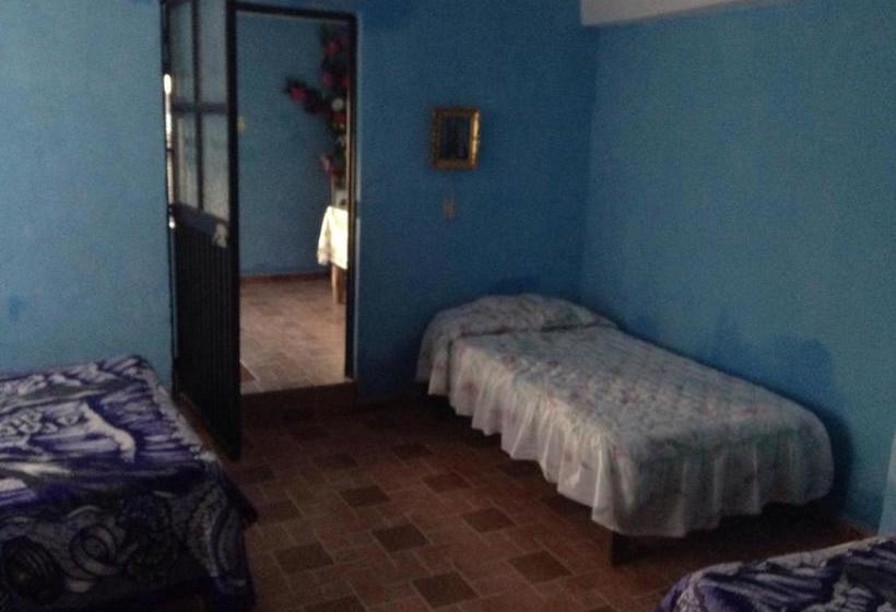 Albergue Alex