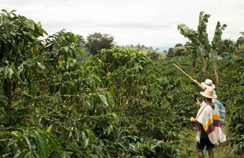 پانسیون Buriti Ecoh Rnt56521