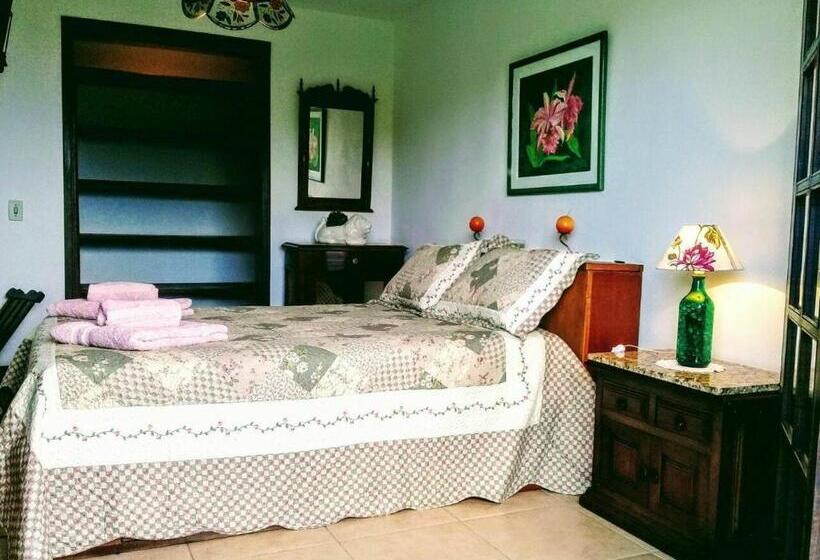 مبيت وإفطار Suites Em Meio A Mata Atlântica