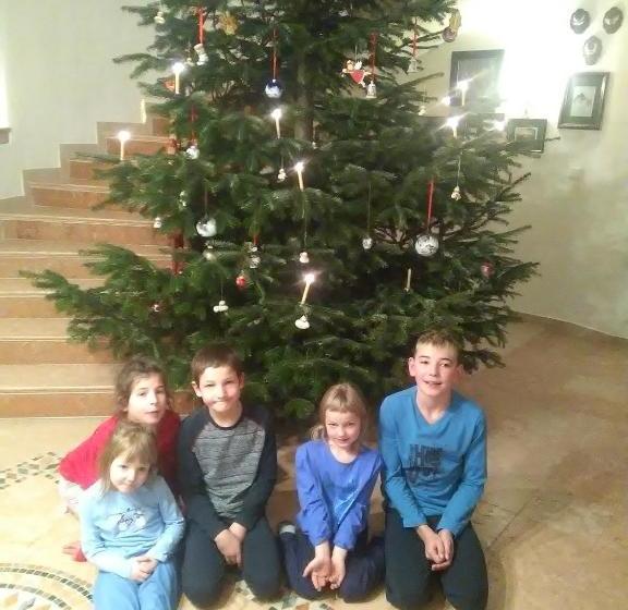 ペンション Attersee Gartenvilla