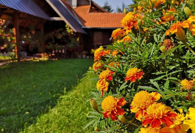 پانسیون Guesthouse Ramović