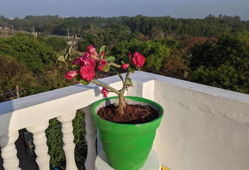 펜션 Blue Moon Guest House