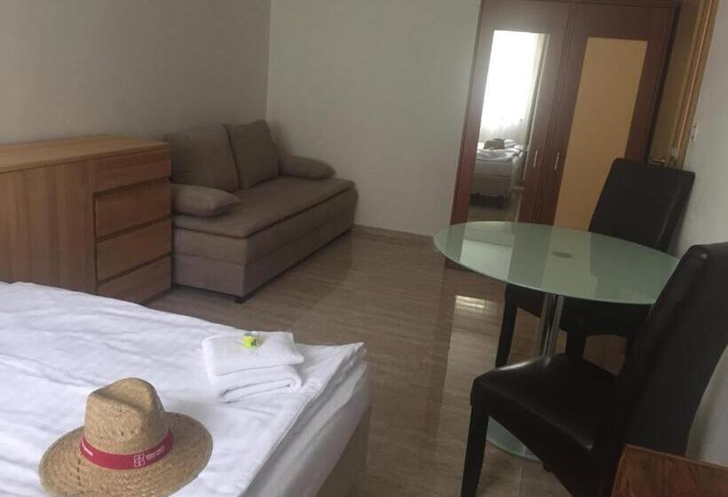 پانسیون Penzion Za Radnicí