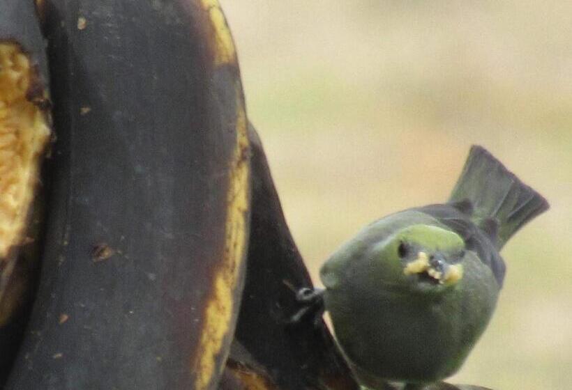 Santamaría Hotel Bed And Breakfast