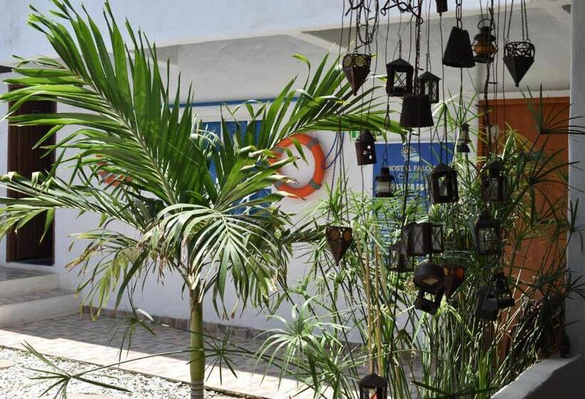 پانسیون Hostal Palohe Taganga