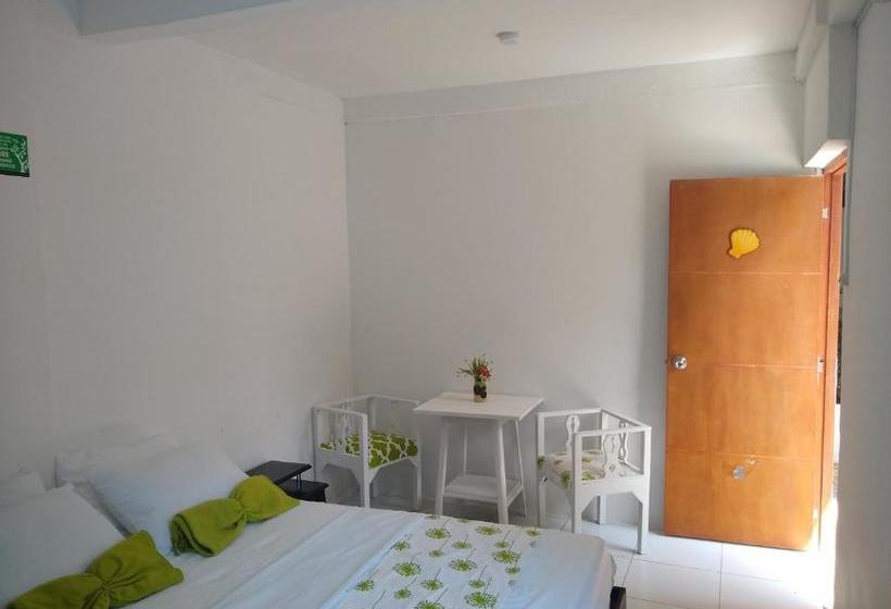 پانسیون Hostal Palohe Taganga