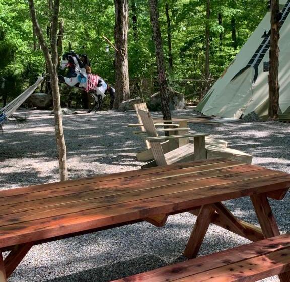 مبيت وإفطار Fox Pass Cabins