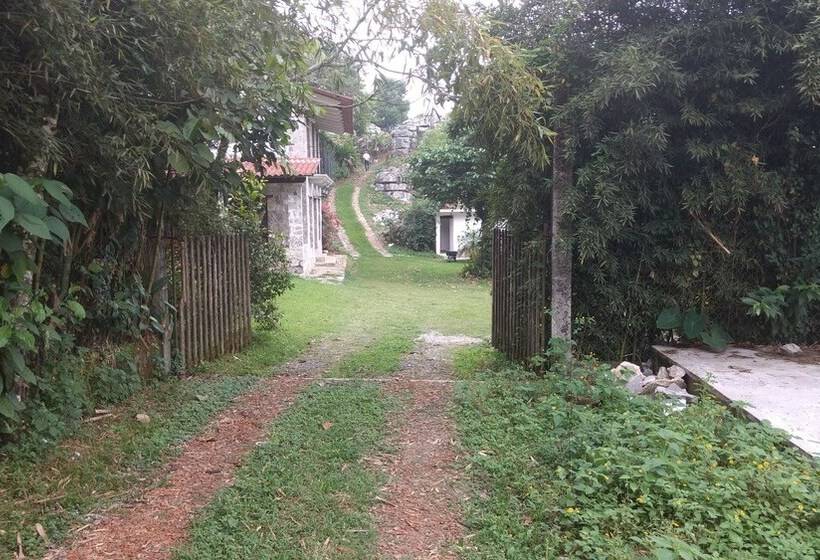 هاستل Posada La Vereda