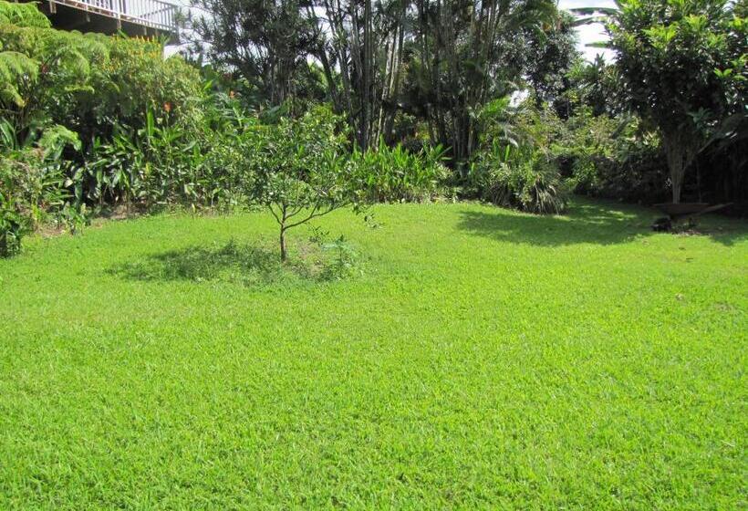 مبيت وإفطار Coffee Garden
