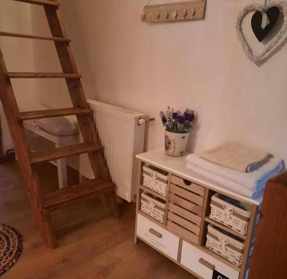 بنسيون Casa Maia Dambovicioara