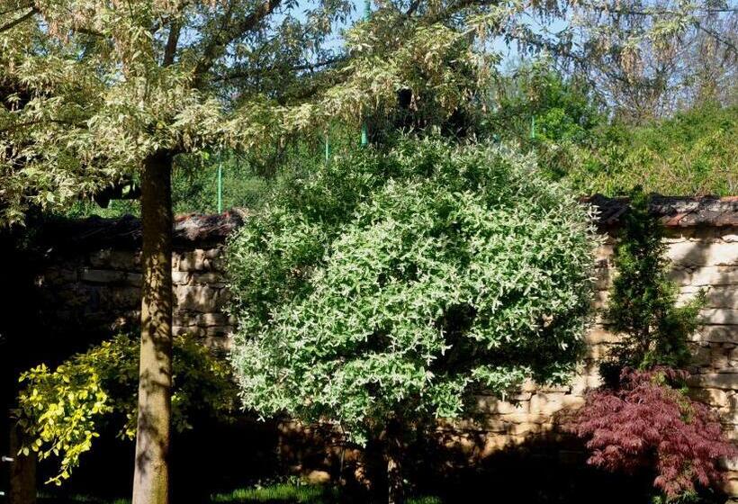 پانسیون Guesthouse Djurić