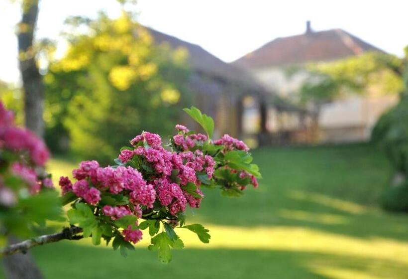 پانسیون Guesthouse Djurić