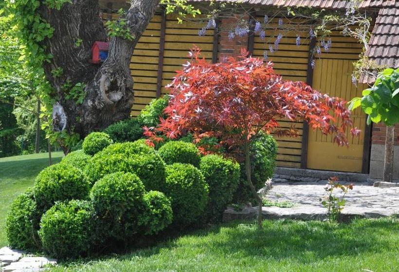 پانسیون Guesthouse Djurić