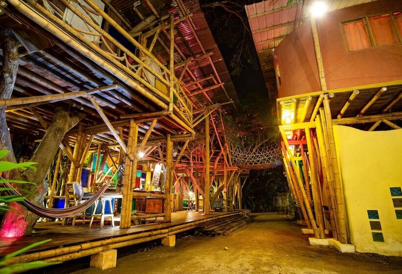 هاستل Kanta Sana