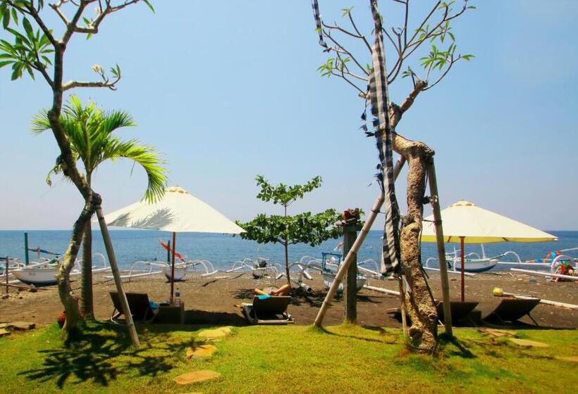 膳宿费 Valomia Beachfront