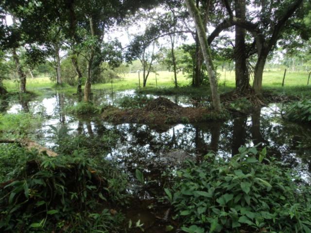 הוסטל Posada Rural Oasis