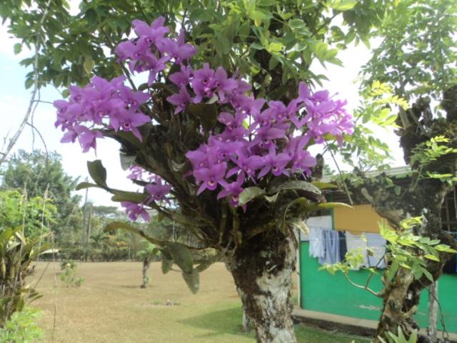 הוסטל Posada Rural Oasis