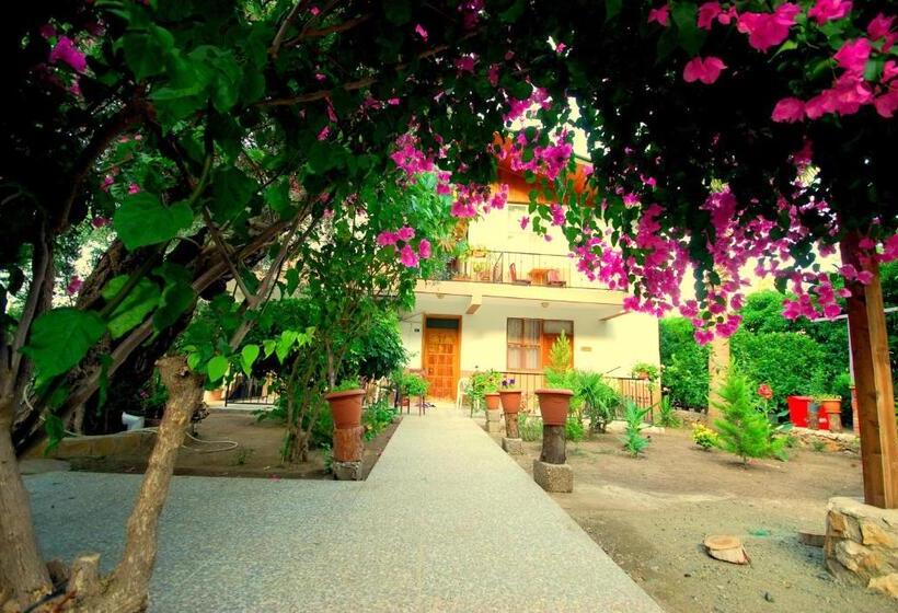 پانسیون Cemils Guest House