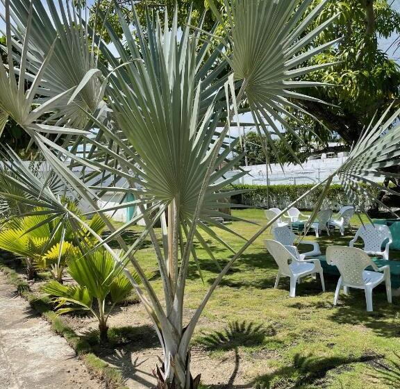 پانسیون Costa De Vikingos