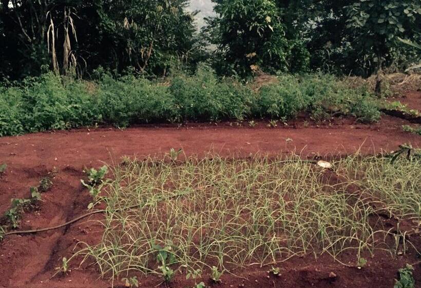 호텔 West Valley Farm Villa