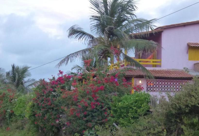 بنسيون Pousada Miau Miau