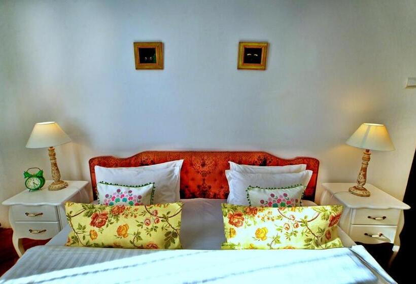 پانسیون Casa Negustorului